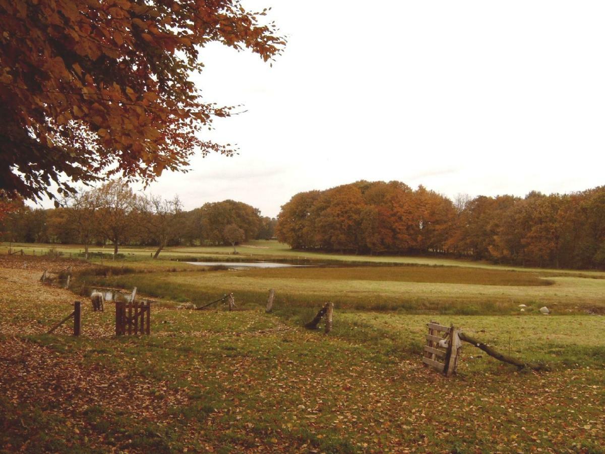 Hoeve Springendal Erf&Bron Hezingen Eksteriør billede